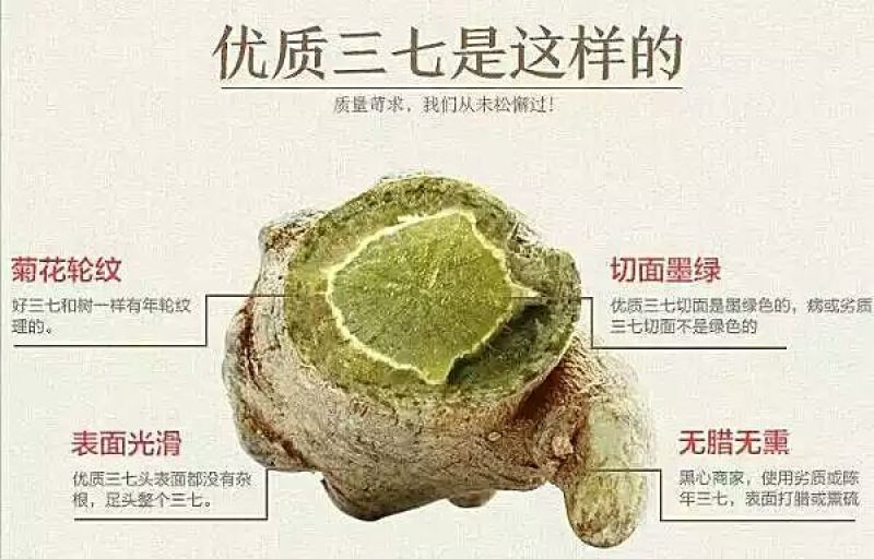 三七40头选货
