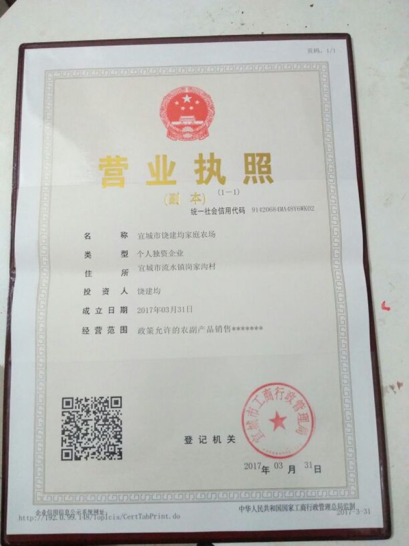黑美人西瓜6斤打底8成熟1茬