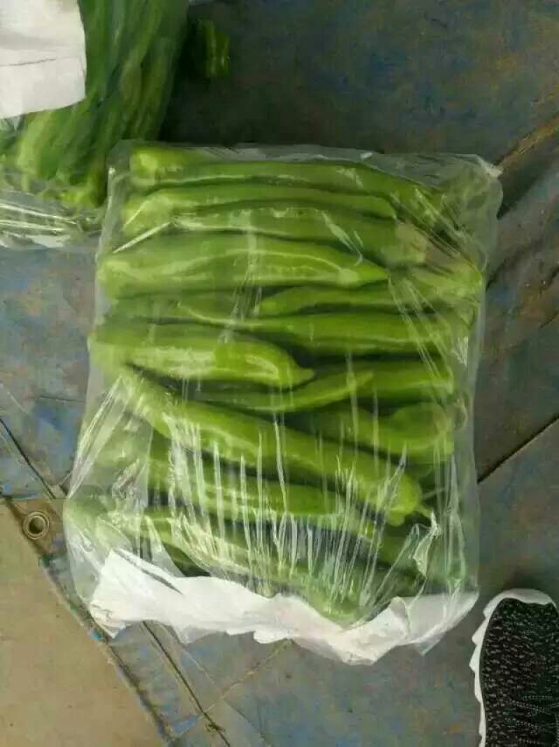尖椒15~20厘米中辣，常年大量有货，代卖代购辣椒类
