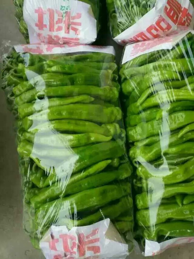 尖椒15~20厘米中辣，常年大量有货，代卖代购辣椒类
