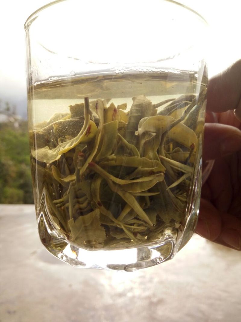 普洱茶