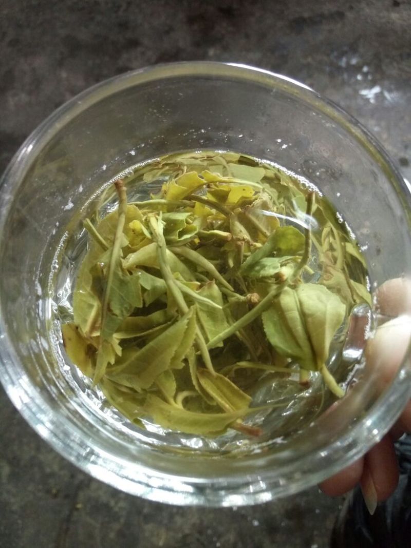 普洱茶