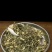 茉莉花茶