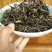 百年大树茶特级