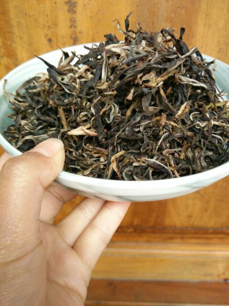 百年大树茶特级