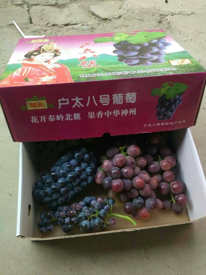 葡萄5%以下0.8~1斤