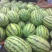 双红金城5号，