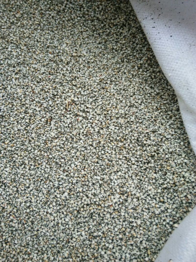 王不留行河北干货2斤起包邮量大从优