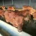 鲁西黄牛100kg