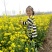 油菜籽2