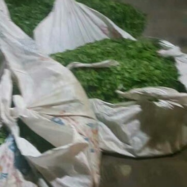 普洱茶