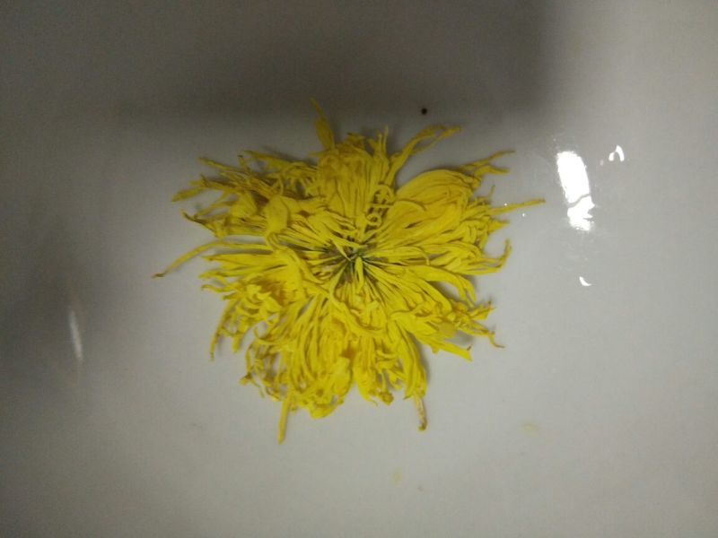 白菊花茶