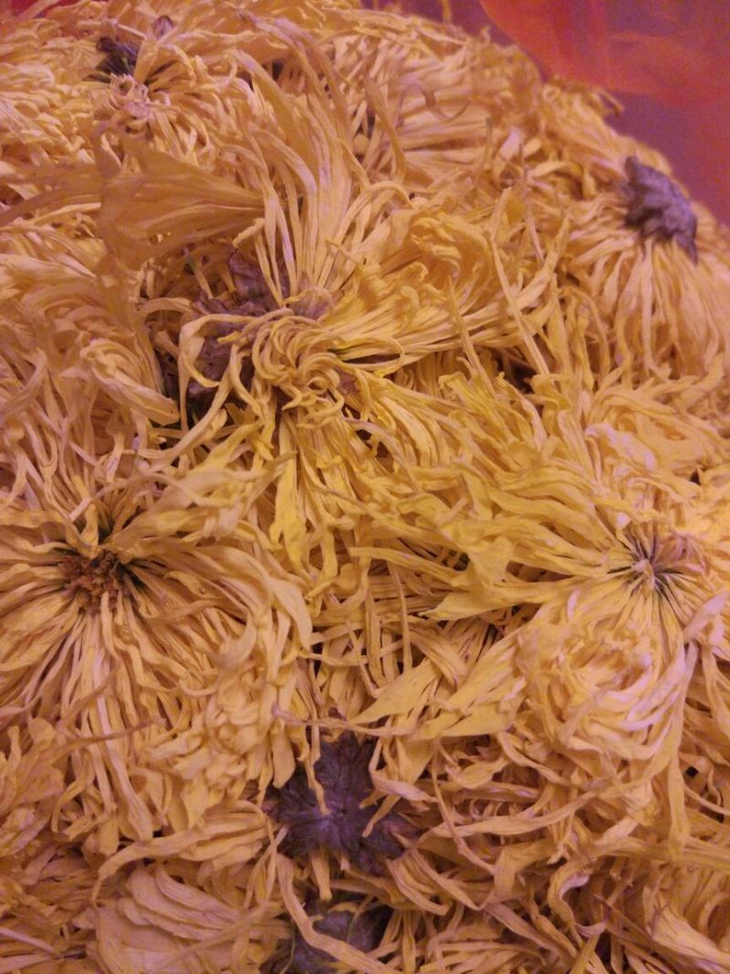 白菊花茶