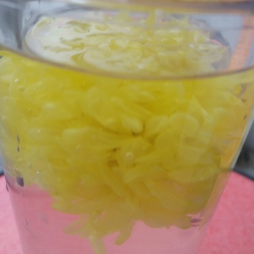 白菊花茶