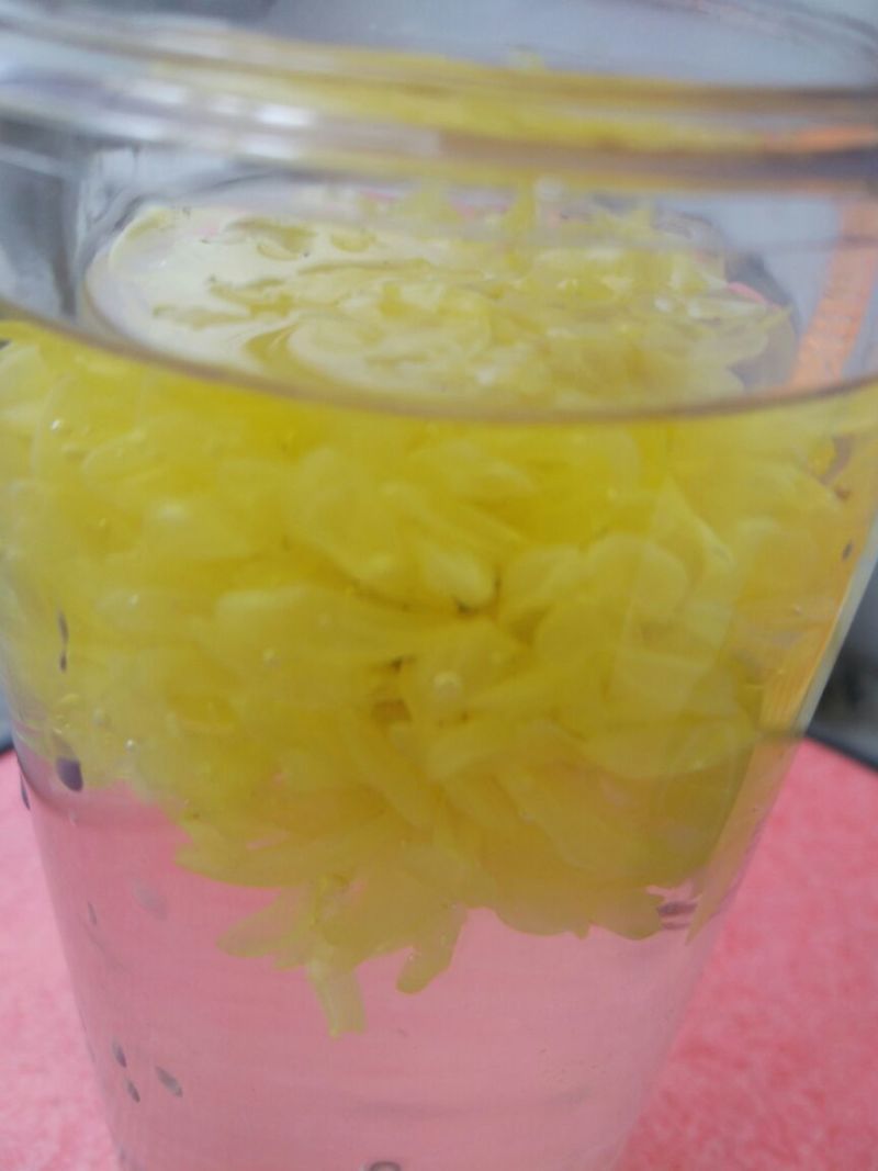 白菊花茶