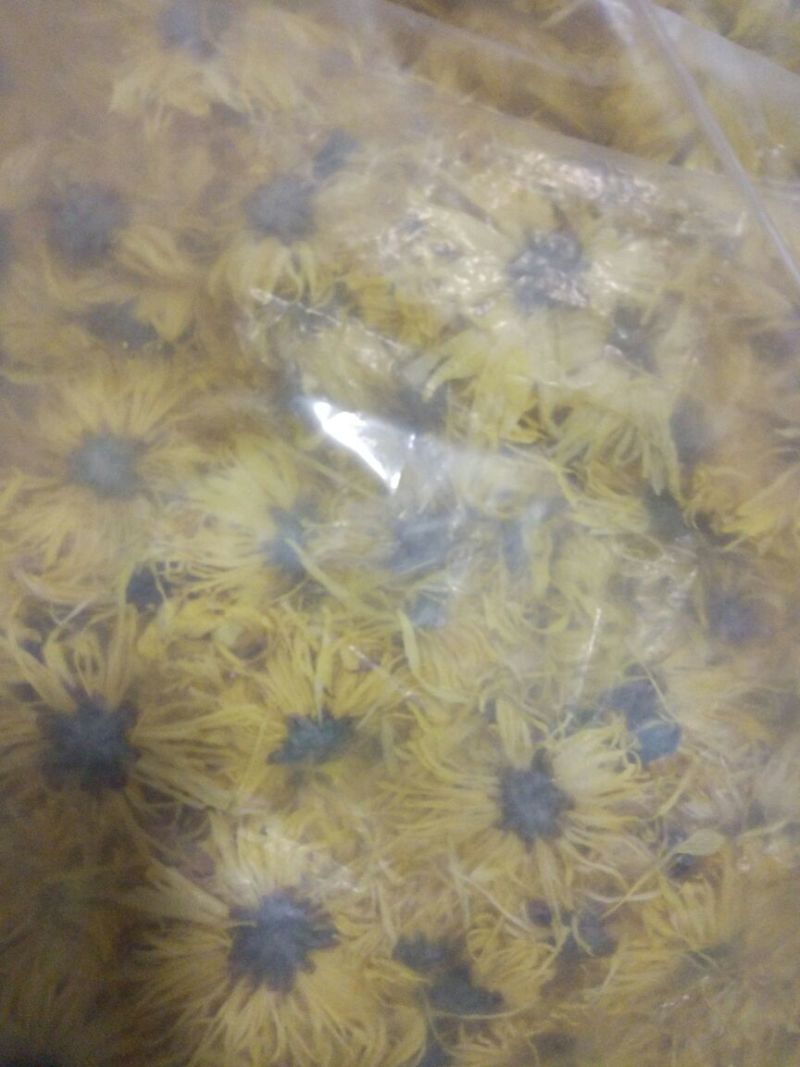 白菊花茶