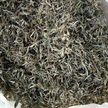 百年大树茶特级