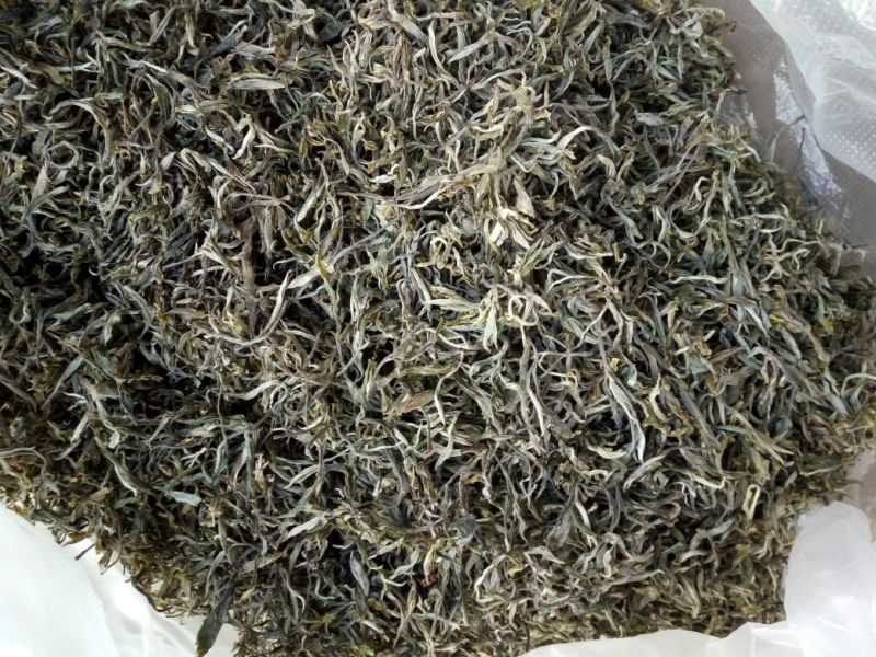百年大树茶特级