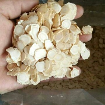西洋参选货