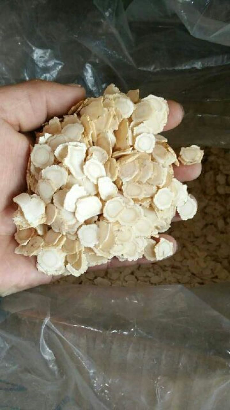 西洋参选货