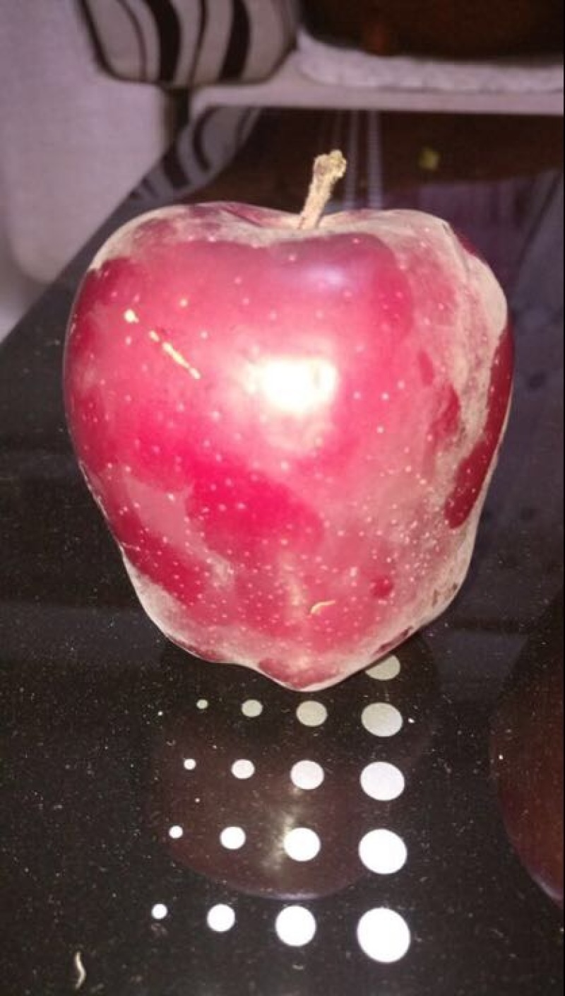 烟富六号苹果树苗