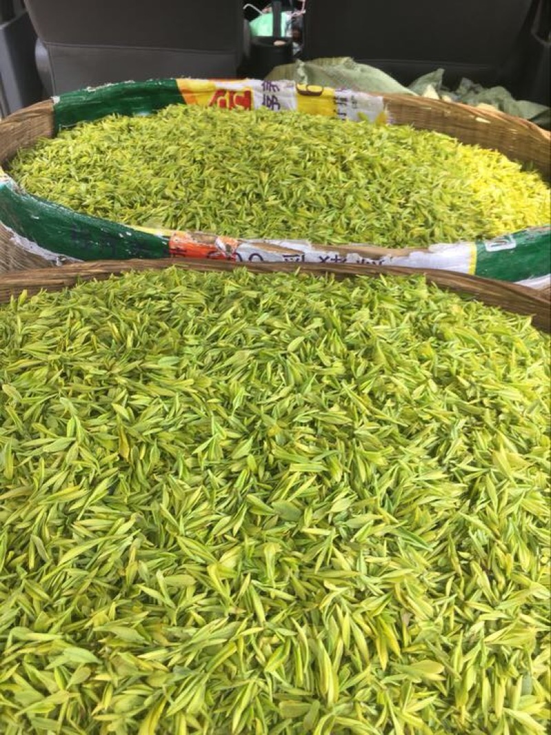 金花茶叶