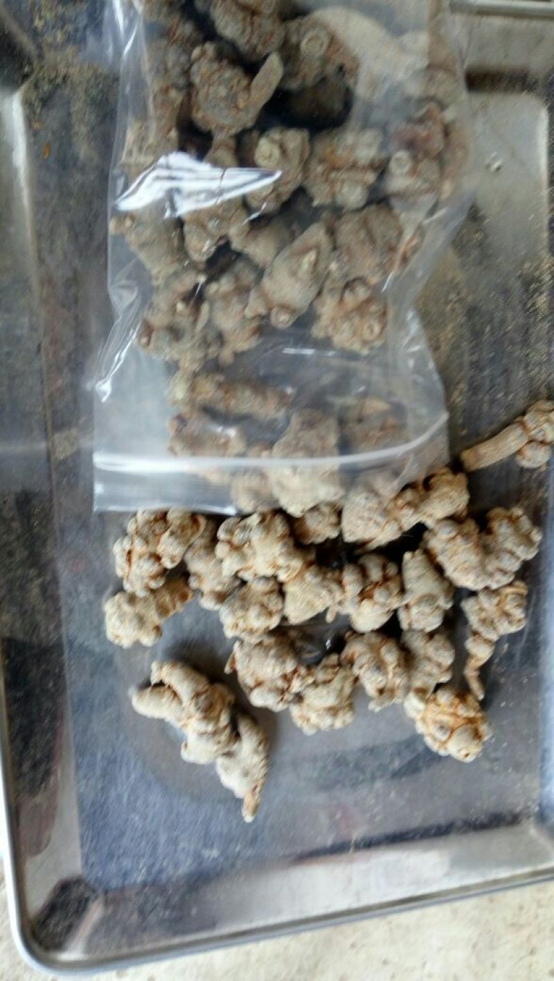正规货源一手货源品质保证三七优质批发大货供应支持一件代发
