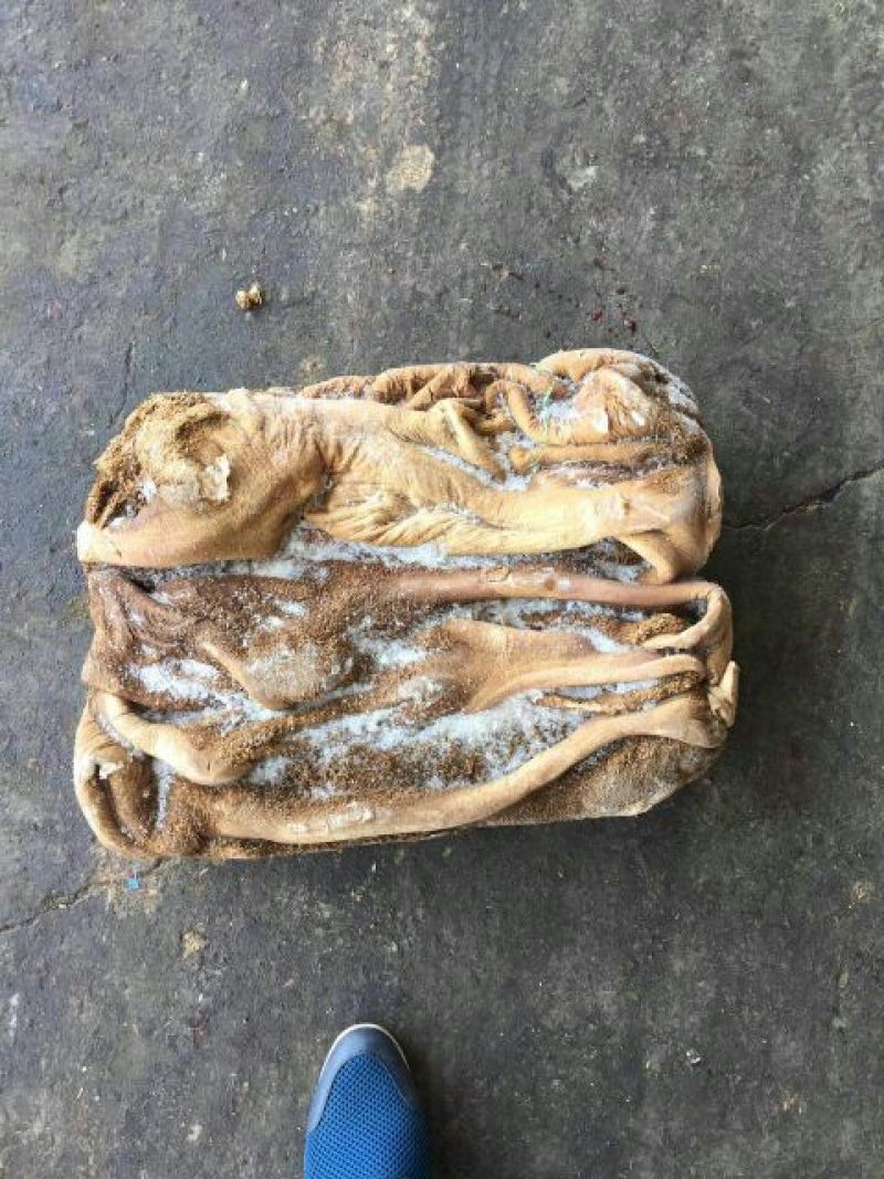 牛肚冷冻