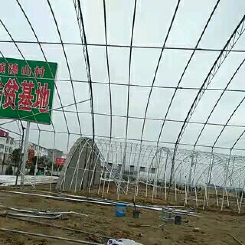 温室大棚系列蔬菜大棚春秋棚
