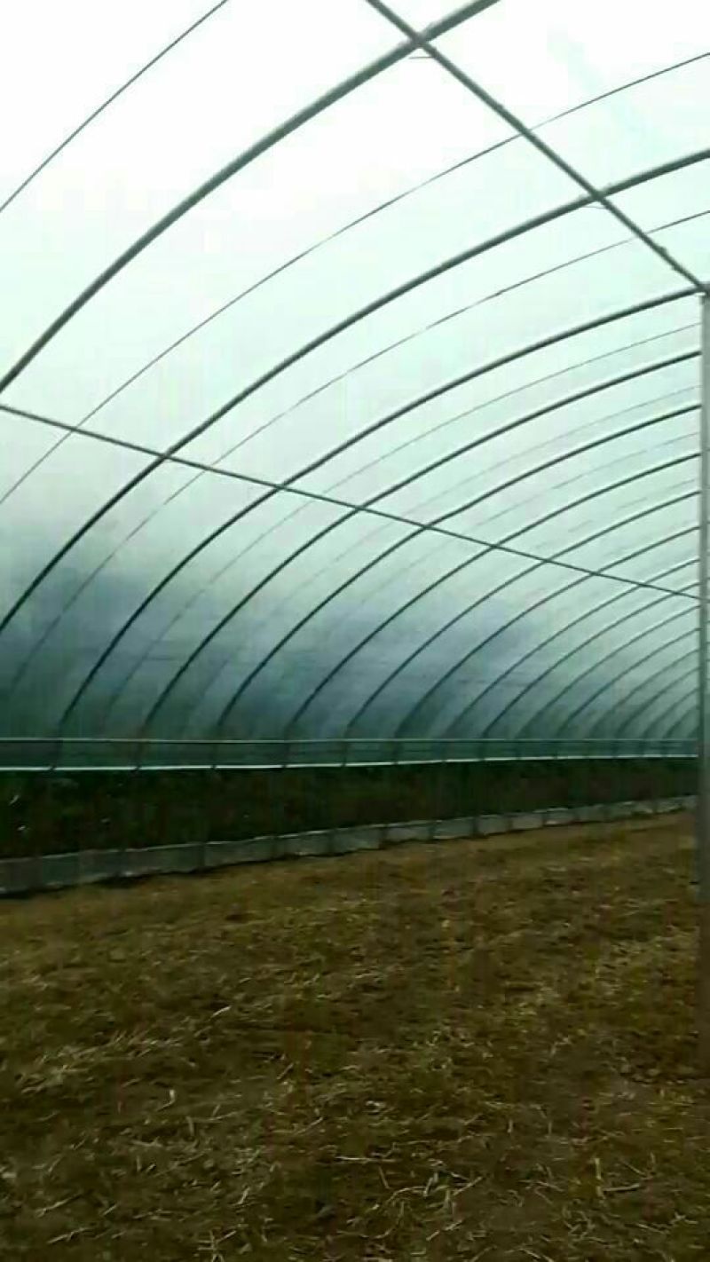 温室大棚系列蔬菜大棚春秋棚