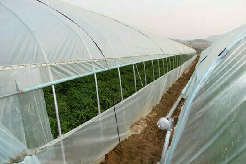 温室大棚系列蔬菜大棚春秋棚