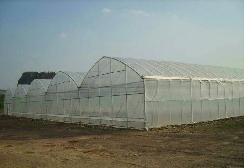 温室大棚系列蔬菜大棚春秋棚