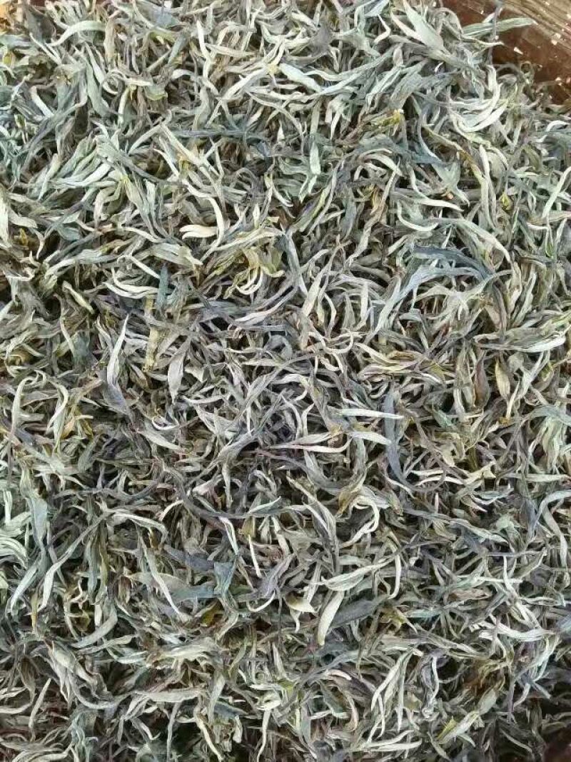 古树普洱茶特级