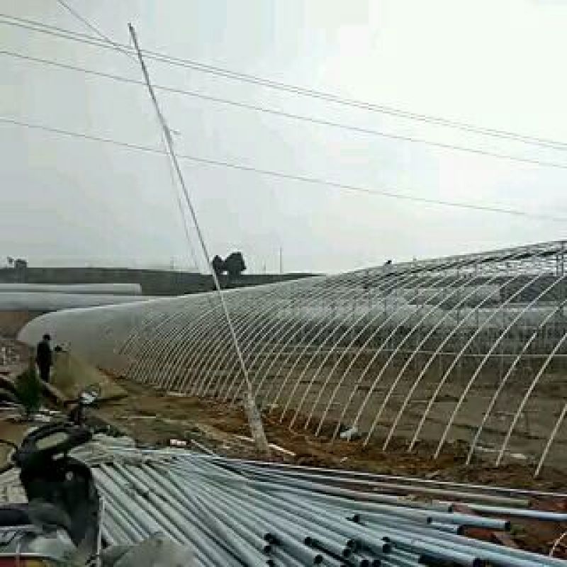大棚钢管普通大棚温室连体蔬菜
