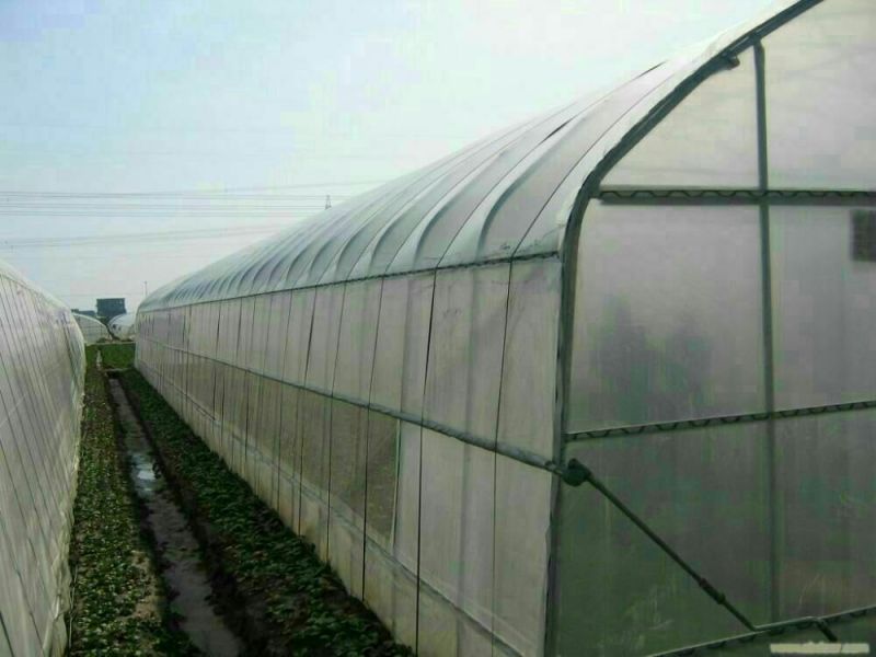 大棚钢管普通大棚温室连体蔬菜