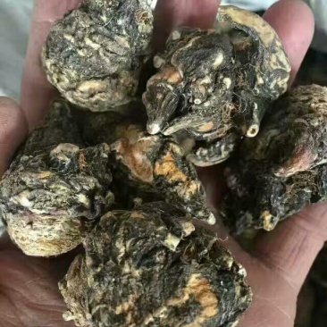 玛卡黑色