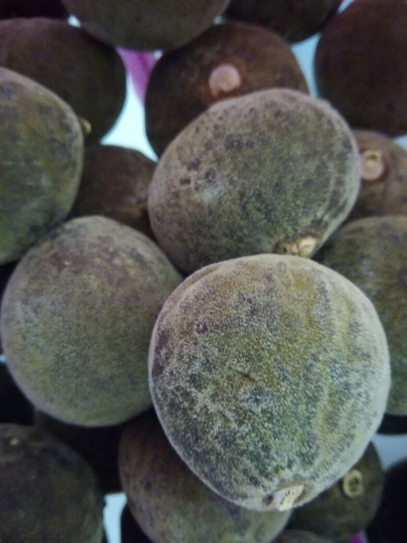 化橘红化州人工种植干货