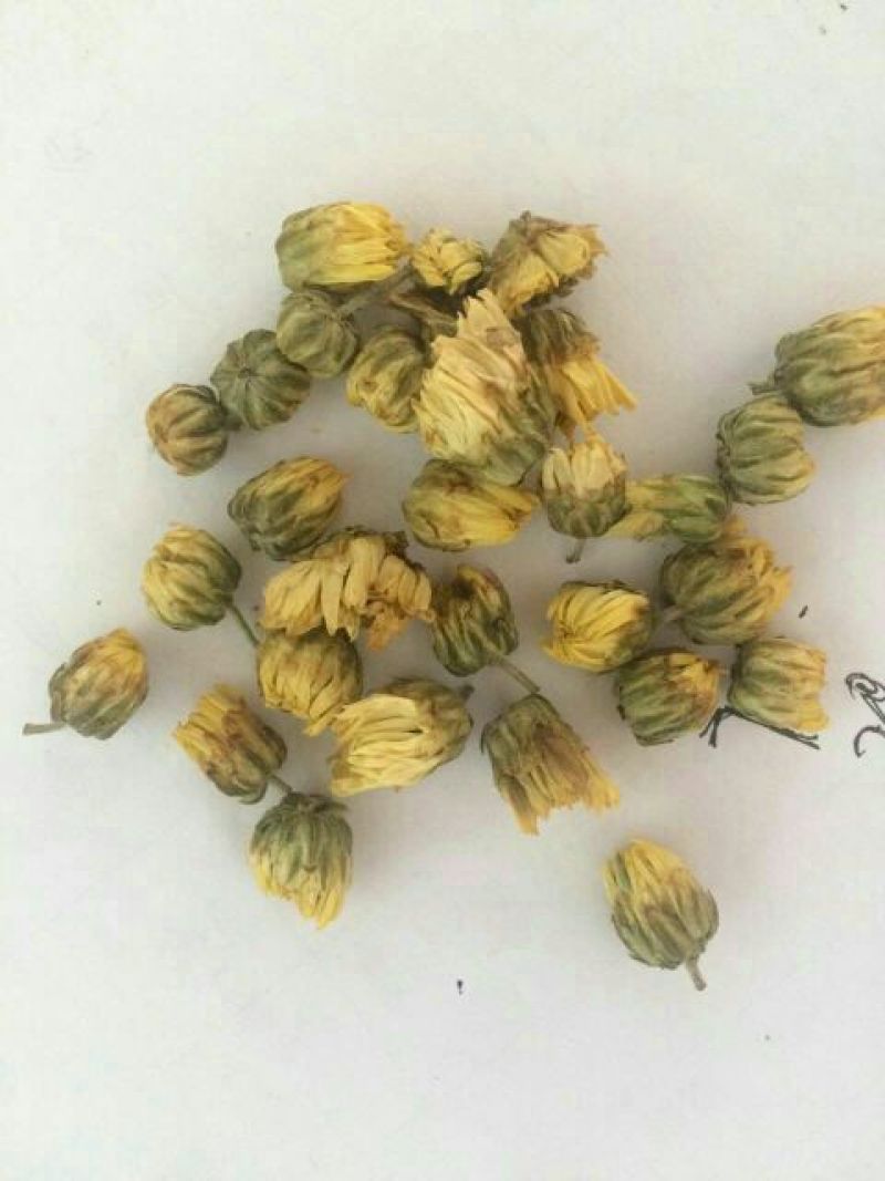 菊花茶