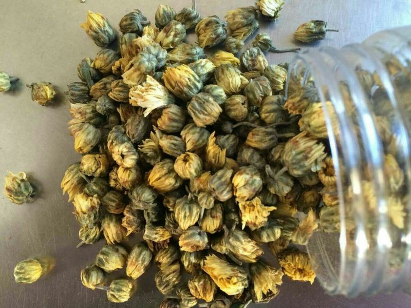 菊花茶
