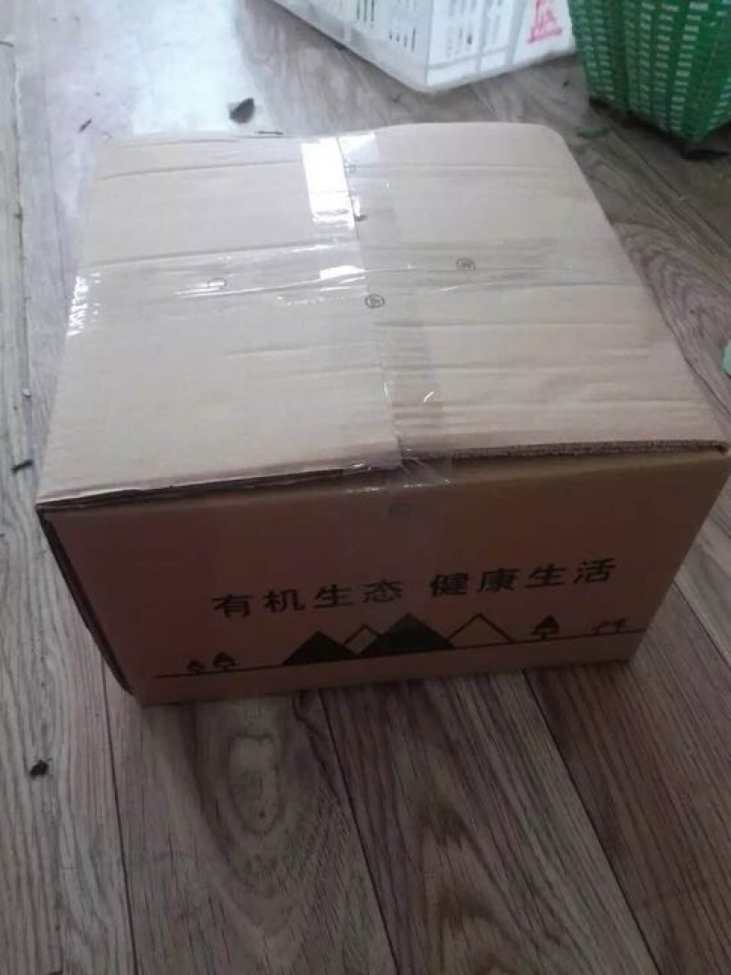 南高丛蓝莓