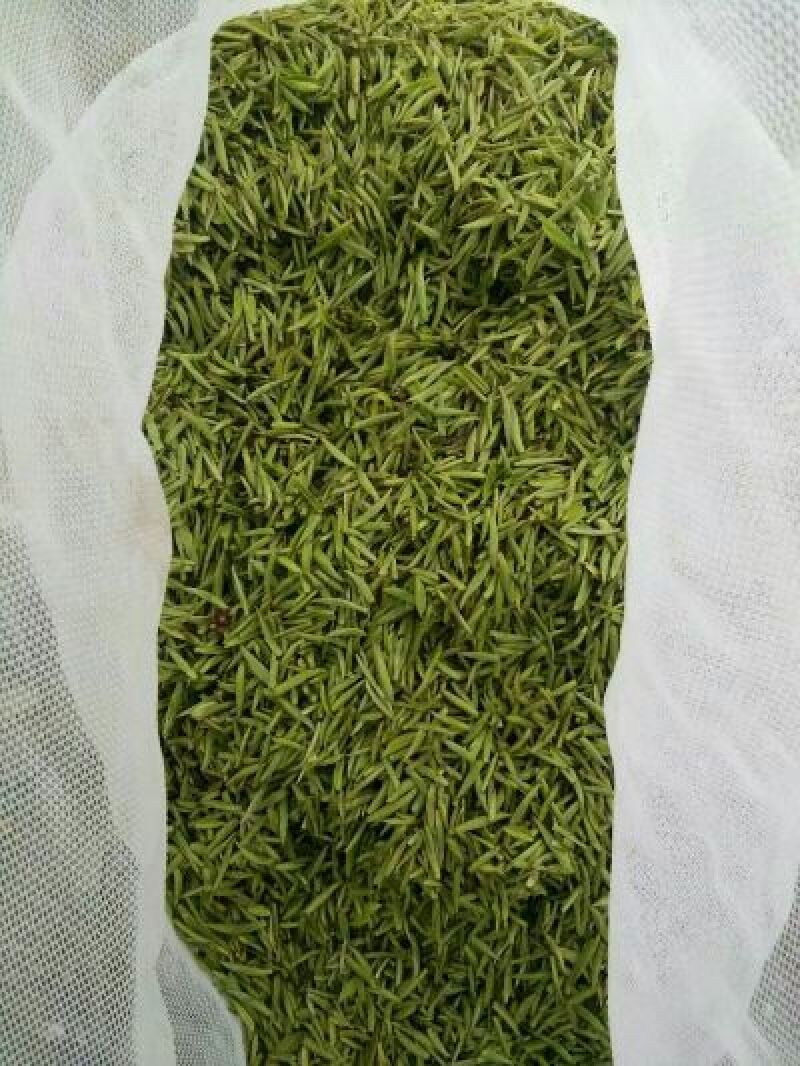 川茶一级