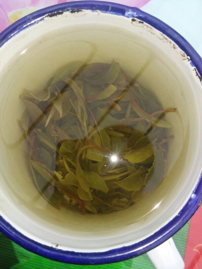 普洱绿茶