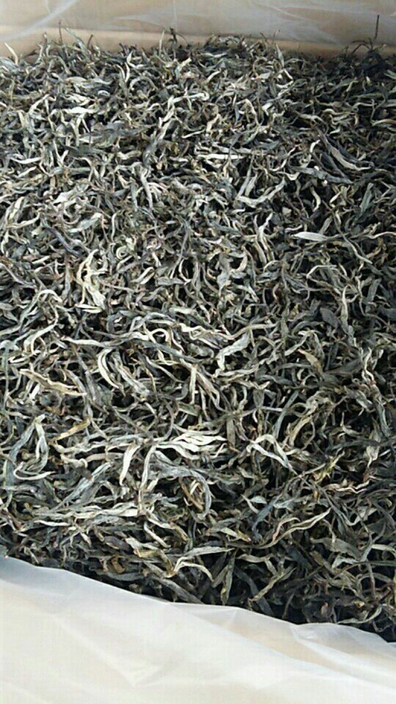 普洱绿茶