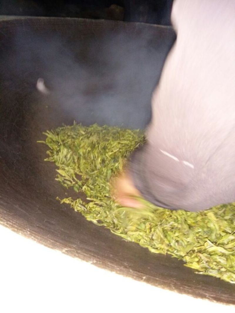 普洱绿茶