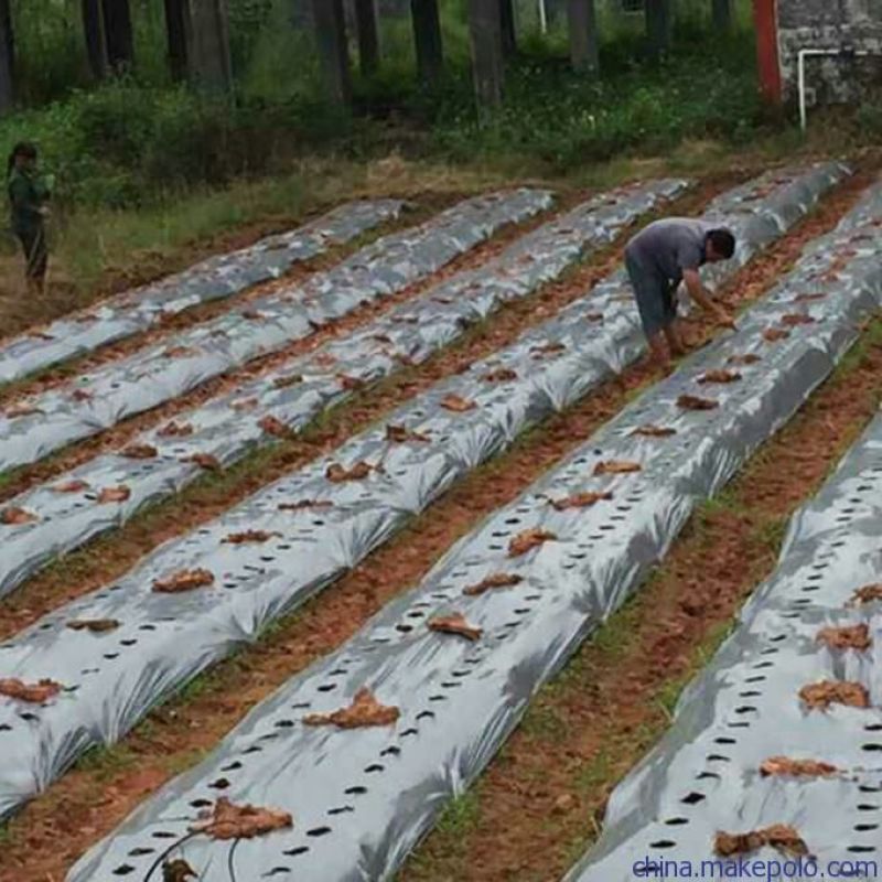 地膜厂家直销专用除草地膜杀灭蚜虫保湿水果蔬菜专用