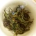 古树普洱茶二级