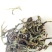 古树普洱茶二级