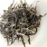 古树普洱茶二级