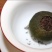 柑普茶