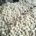 208甜瓜0.5斤以上